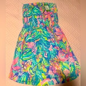 Lilly Pulitzer Windsor Dress